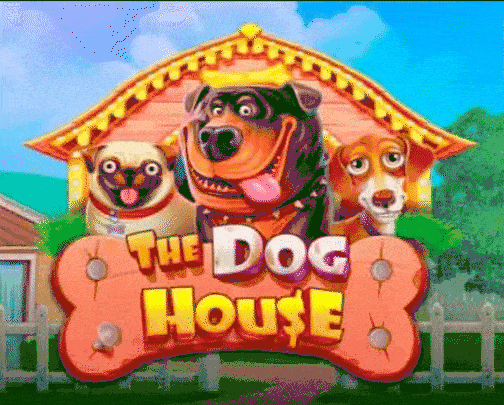 play the dog house in rolling slots casino